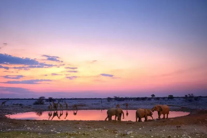 namibia-safari-tour